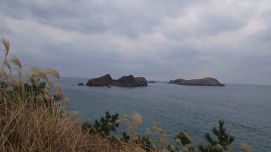 Deniz kıyısının güzel manzarası