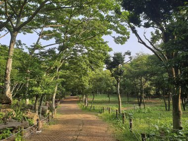 Parkın güzel manzarası