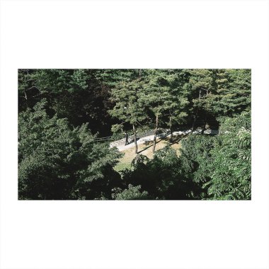 Parktaki yeşil ağaçlar