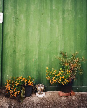 Pencereli eski ahşap kapı