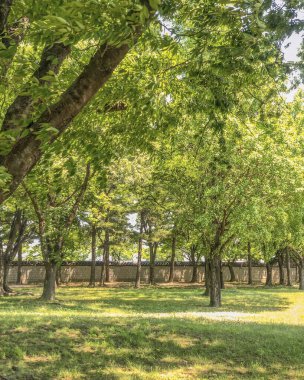 Parkın güzel manzarası