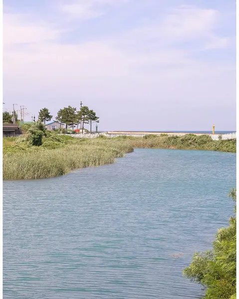 Güzel göl manzarası