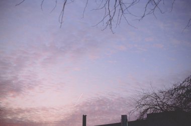 Ormanda güzel bir gün batımı