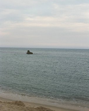 Güzel bir deniz manzarası. Doğa, seyahat