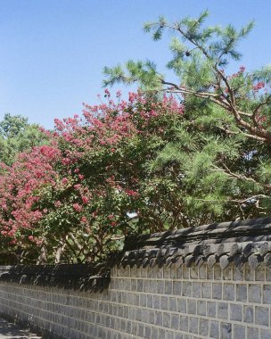 Parkın güzel manzarası