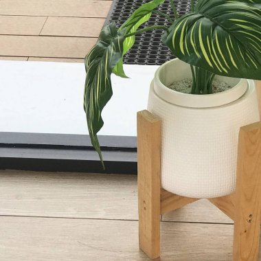 Ahşap zeminde güzel çiçekler ve saksılar