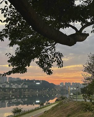 Şehir parkının güzel manzarası