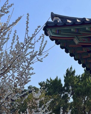 Çin şehrinin güzel mimarisi