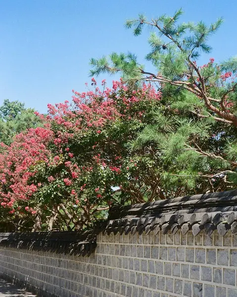 Parkın güzel manzarası