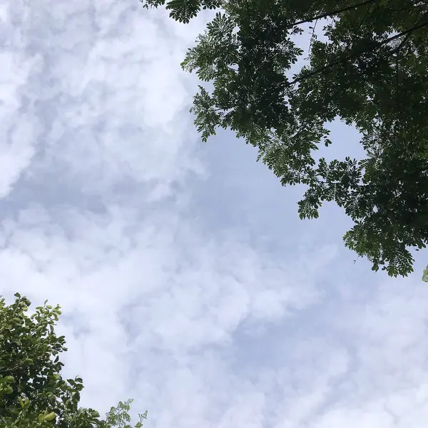 Bulutlu mavi gökyüzü