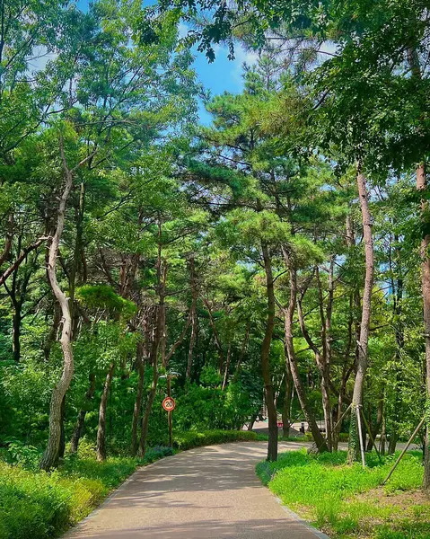 Parkın güzel manzarası