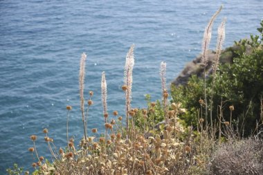 Güzel deniz manzarası