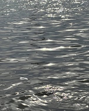 Denizde su dalgaları