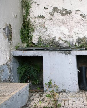 Şehirde terk edilmiş eski bir ev.