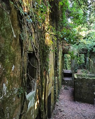 İsrail 'in kuzeyindeki 2. Dünya Savaşı' nın en kirli simgesine sahip antik şehrin kalıntıları.