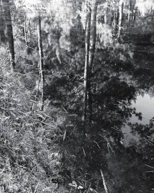 Parktaki genç bir adamın siyah beyaz fotoğrafı.