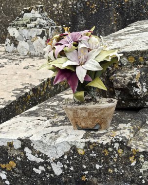 taş duvar ve çiçekler