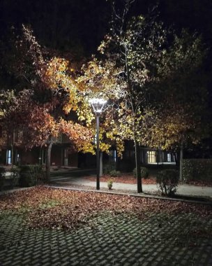 Eski şehrin gece manzarası.