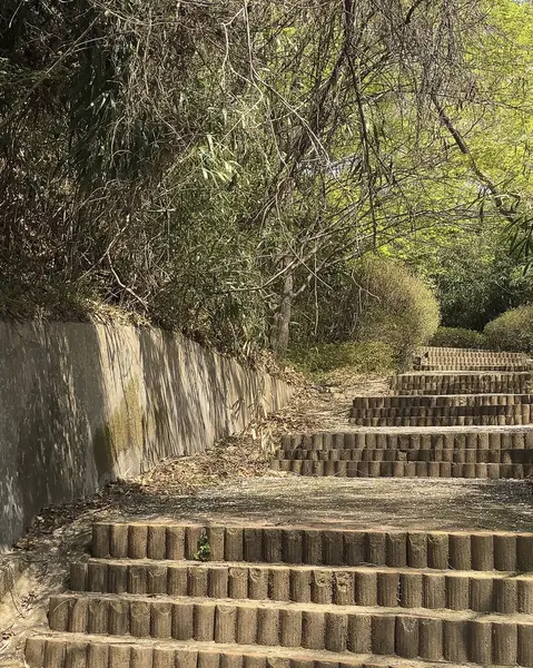 Doğanın güzel manzarası