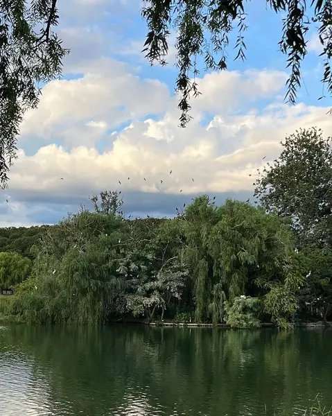 Parkın güzel manzarası