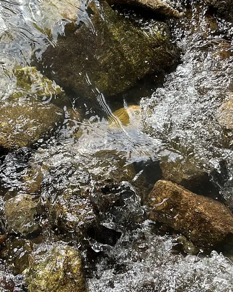 Parktaki dağ şelalesi