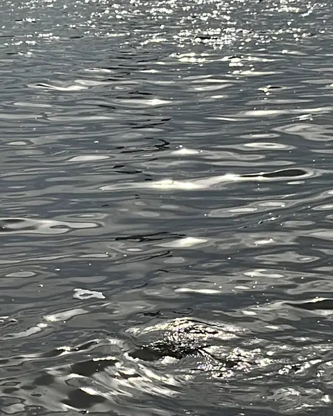 Denizde su dalgaları