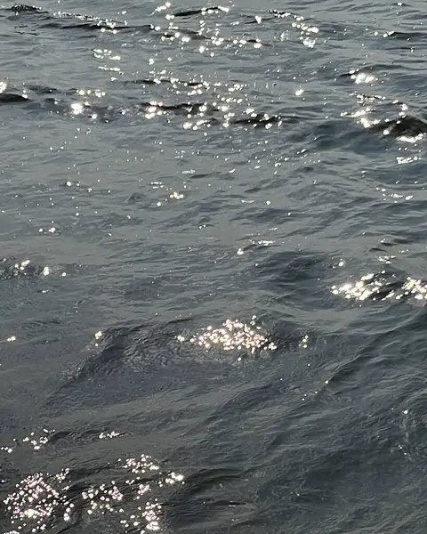 Deniz kıyısında dalgalar