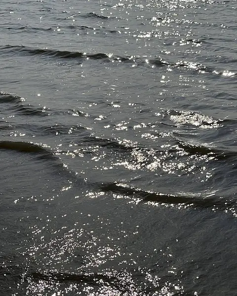 Sahildeki deniz dalgaları