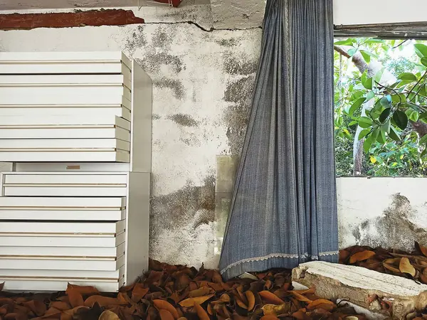 Modern bir evin içinde.