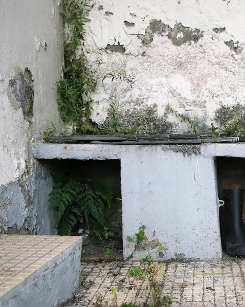 Şehirde terk edilmiş eski bir ev.