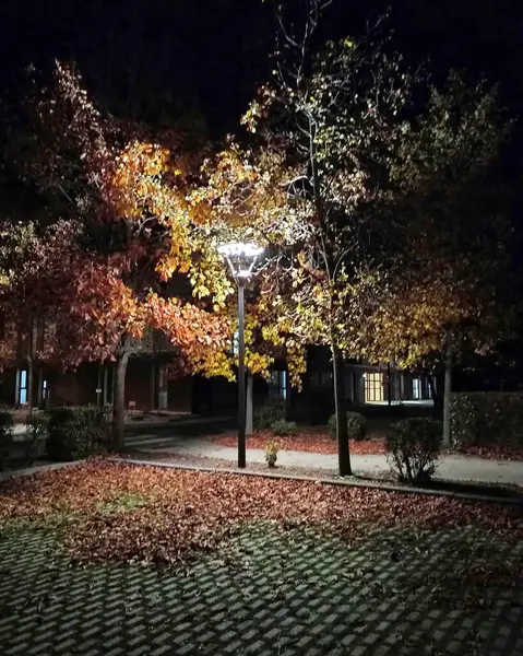 Eski şehrin gece manzarası.