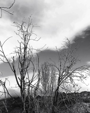 Doğal manzaranın güzel manzarası