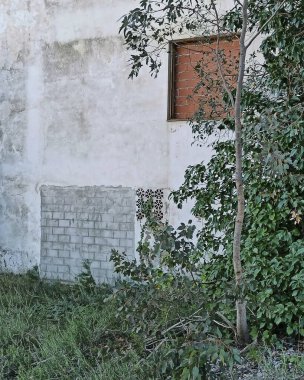 Pencereli eski tuğla duvar