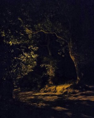 Şehrin güzel gece manzarası