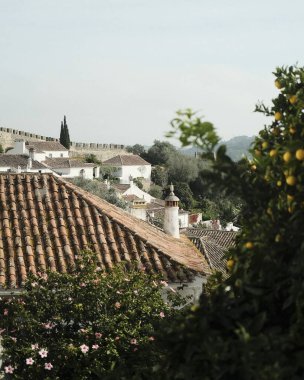 Eski şehrin manzarası.