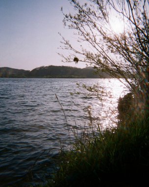 Ormandaki nehrin güzel manzarası