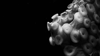 soyut su kabarcıkları ile arka