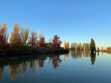 Ağaçlar ve yapraklarla dolu güzel sonbahar manzarası