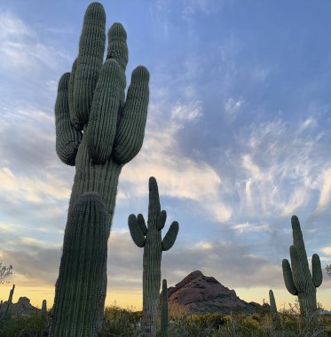 Doğanın güzel manzarası