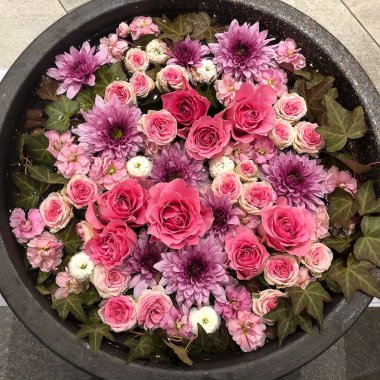 Bahçedeki güzel çiçekler