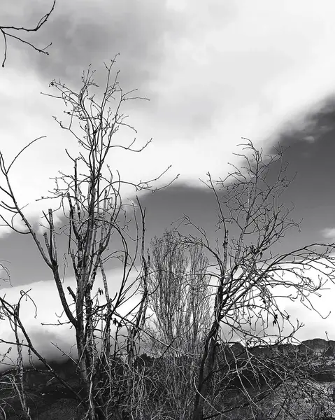 Doğal manzaranın güzel manzarası