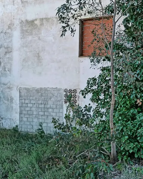 Pencereli eski tuğla duvar