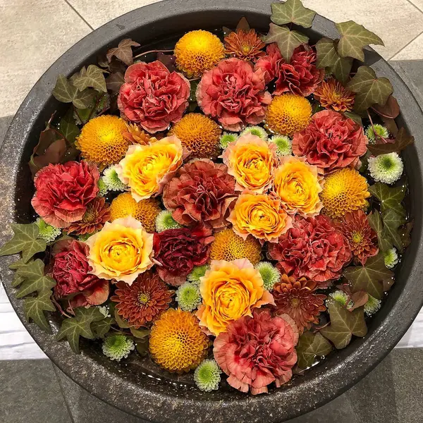 Bahçedeki güzel çiçekler