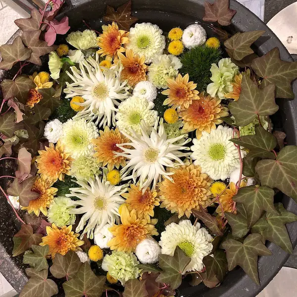 Bahçedeki güzel çiçekler