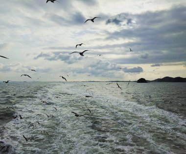 Güzel deniz manzarası