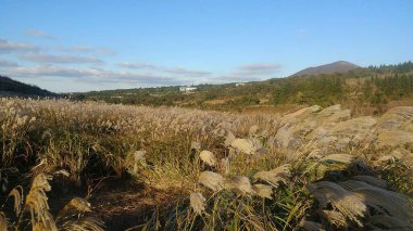 Dağlarda dağları olan güzel bir manzara.