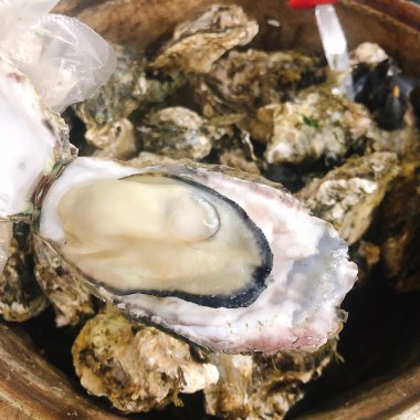 Buzlu taze istiridye.