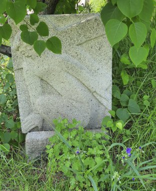 Yeşil çimenli eski taş duvar