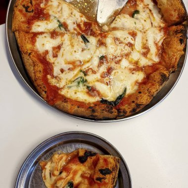 Domatesli pizza, peynir ve peynir.