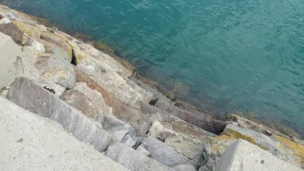 Sahildeki deniz dalgaları